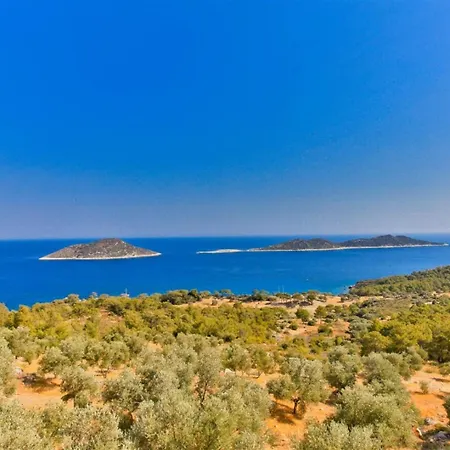 Gerenlik 2 Kas